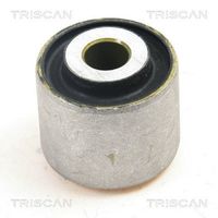 TRISCAN 850029870 - Suspensión, Brazo oscilante