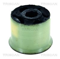 TRISCAN 850029887 - Suspensión, Brazo oscilante