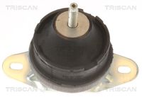 TRISCAN 850510131 - Soporte, motor