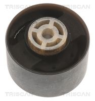 TRISCAN 850510113 - Soporte, motor