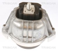 TRISCAN 850511107 - Soporte, motor