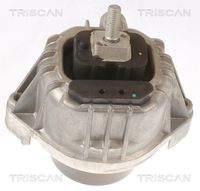 TRISCAN 850511111 - Soporte, motor