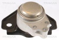 TRISCAN 850516119 - Soporte, motor