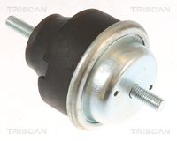 TRISCAN 850528106 - Soporte, motor