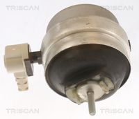 TRISCAN 850529111 - Soporte, motor