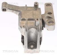 TRISCAN 850529162 - Soporte, motor