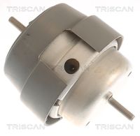 TRISCAN 850529169 - Soporte, motor