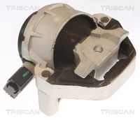 TRISCAN 8505 29170 - Soporte, motor