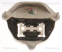 TRISCAN 850529216 - Suspensión, transmisión automática