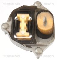 TRISCAN 850529218 - Suspensión, transmisión automática