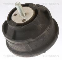 TRISCAN 850511101 - Soporte, motor