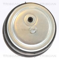 TRISCAN 850511113 - Soporte, motor