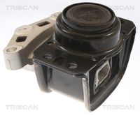 TRISCAN 850528108 - Soporte, motor