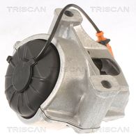 TRISCAN 850529133 - Soporte, motor