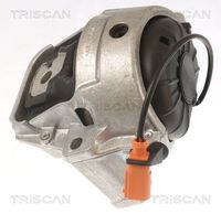 TRISCAN 850529178 - Soporte, motor