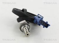 TRISCAN 8845 10011 - Sonda Lambda