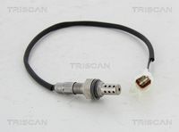 TRISCAN 8845 69401 - Sonda Lambda