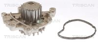 Schaeffler INA 538088210 - Bomba de agua, refrigeración del motor