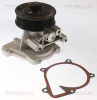 TRISCAN 860016074 - Bomba de agua, refrigeración del motor