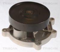 TRISCAN 860011062 - Bomba de agua, refrigeración del motor