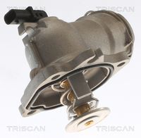 TRISCAN 862033987 - Termostato, refrigerante