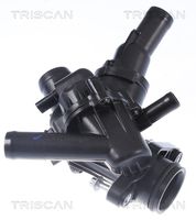 TRISCAN 862048897 - Termostato, refrigerante