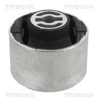 TRISCAN 8500 24873 - Suspensión, Brazo oscilante