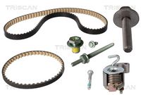 Schaeffler INA 544018020 - Kit poleas, cigüeñal