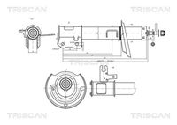 TRISCAN 870524104 - Suspensión: para vehículos con chasis deportivo<br>Lado de montaje: Eje trasero<br>Tipo de amortiguador: Presión de gas<br>Sistema de amortiguadores: Bitubular<br>Tipo de amortiguador: Amortiguador telescópico<br>Tipo de sujeción de amortiguador: Anillo superior<br>long. máx. [mm]: 420<br>long. mín. [mm]: 280<br>diám. tubo vertical [mm]: 40<br>diámetro de biela [mm]: 12<br>