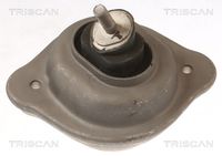 TRISCAN 850511119 - Soporte, motor