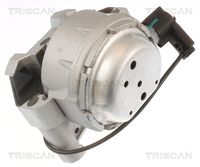 TRISCAN 850529171 - Soporte, motor