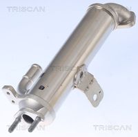 TRISCAN 881343102 - Elemento enfriador, reciclaje gases escape