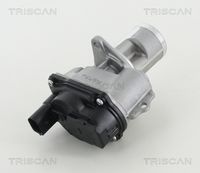 TRISCAN 881329065 - Válvula EGR