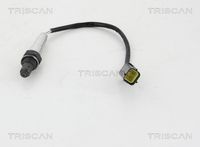 TRISCAN 884514102 - Lado de montaje: después de catalizador<br>Sonda lambda: Sonda de diagnosis<br>Sonda lambda: térmico<br>Tamaño de rosca exterior: M18 x 1,5<br>Ancho de llave: 22<br>Cantidad líneas: 4<br>Longitud de cable [mm]: 479<br>Peso [kg]: 0,090<br>