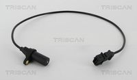 TRISCAN 885515102 - para el tipo de serie del modelo: Jumper<br>para el tipo de serie del modelo: Relay<br>Número de enchufes de contacto: 3<br>Longitud de cable [mm]: 620<br>