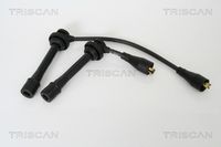 TRISCAN 886069004 - Juego de cables de encendido