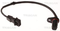 TRISCAN 885543110 - Número de conexiones: 3<br>Longitud de cable [mm]: 310<br>Peso [kg]: 0,001<br>Artículo complementario / información complementaria 2: con junta tórica<br>