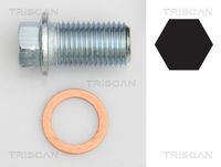 TRISCAN 95001012 - Longitud [mm]: 33<br>Rosca exterior [mm]: M14 x 1,5<br>Ancho de llave: 13<br>Diámetro exterior [mm]: 18,85<br>Perfil cabeza tornillo/tuerca: Hexágono exterior<br>Long. de rosca [mm]: 24<br>Artículo complementario / información complementaria 2: sin junta tórica<br>