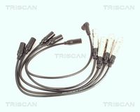 TRISCAN 8860 4102 - Juego de cables de encendido