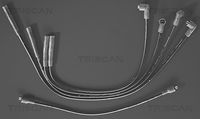 TRISCAN 88607219 - Juego de cables de encendido