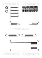 TRISCAN 8105102576 - Lado de montaje: Eje trasero<br>Dinámica de frenado / conducción: para vehículos con ABS<br>Sistema de frenos: AP Lockheed<br>Número piezas [piezas]: 12<br>Nº de información técnica: X0109<br>