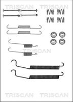 TRISCAN 8105102599 - Lado de montaje: Eje trasero<br>Sistema de frenos: Bosch<br>Diámetro interior de tambor de freno [mm]: 203<br>Ancho [mm]: 39<br>Dinámica de frenado / conducción: para vehículos con ABS<br>