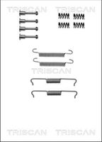 TRISCAN 8105102602 - Lado de montaje: Eje trasero<br>Sistema de frenos: Brembo<br>Número piezas [piezas]: 12<br>Nº de información técnica: X0175<br>