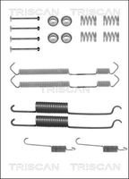 TRISCAN 8105152553 - Lado de montaje: Eje trasero<br>Sistema de frenos: TRW<br>Diámetro interior de tambor de freno [mm]: 254<br>Ancho [mm]: 57<br>