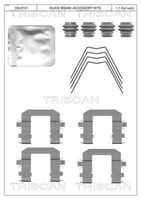 TRISCAN 8105431663 - Lado de montaje: Eje trasero<br>Sistema de frenos: Mando<br>