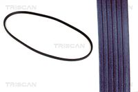 TRISCAN 8640 101200 - Correa trapezoidal