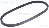 TRISCAN 8640130800 - año construcción hasta: 07/1989<br>para el tipo de serie del modelo: LT 40<br>Unidades accionadas: Alternador<br>N.º de chasis (VIN) hasta: 28-G-016821<br>Unidades accionadas: Alternador<br>N.º de chasis (VIN) hasta: 28-G-016821<br>año construcción desde: 08/1985<br>para el tipo de serie del modelo: LT 55<br>Unidades accionadas: Alternador<br>N.º de chasis (VIN) hasta: 28-G-016821<br>Ancho [mm]: 10<br>Longitud [mm]: 813<br>Material de las bielas: Poliéster<br>Material de las correas: Policloropreno (Neopreno)<br>Color: negro<br>Long. ext. [mm]: 823<br>