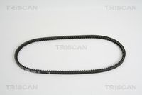 TRISCAN 8640131000 - Correa trapezoidal