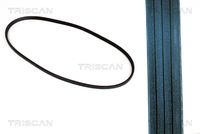 TRISCAN 8640400725 - Correa trapecial poli V