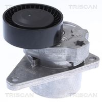 TRISCAN 8641103010 - Unidades accionadas: Alternador<br>Diámetro exterior [mm]: 70<br>Ancho [mm]: 24<br>SVHC: No existen sustancias SVHC<br>